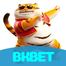 Problemas de Login no BKBET